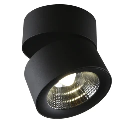 Фото Спот Divinare URCHIN 1295/04 PL-1