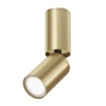 Фото 5 Потолочный светильник Technical C051CL-01G