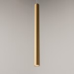 Фото 3 Подвесной светильник Maytoni MOD159PL-L6GK