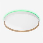 Фото 2 CL750400R ETALON Белый+Бук с пультом и RGB