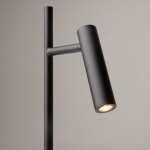 Фото 3 Напольный светильник (торшер) Maytoni Z010FL-L8B3K