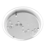 Фото Потолочный светильник Arte Lamp BELLE A4890PL-2CC