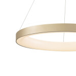 Фото 2 7756 Люстра подвесная NISEKO