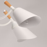 Фото 5 Люстра  635014805