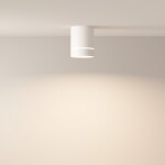 Фото 1 Потолочный светильник Technical C085CL-9W4K-W