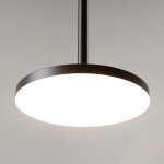 Фото 1 Подвесной светильник Technical P076PL-L12W4K-B