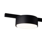 Фото 1 Потолочный светильник Freya FR5363CL-05B