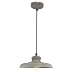 Фото Подвесной светильник Arte Lamp LOFT A5025SP-1BG