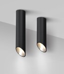 Фото 1 Потолочный светильник Technical C025CL-01B