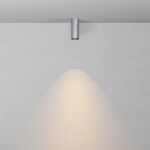 Фото 2 Потолочный светильник Technical C056CL-L12W3K-W-PT