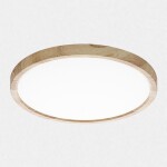 Фото 1 CL738242V Бейсик Клен Св-к Накл. LED 24W*Мульти