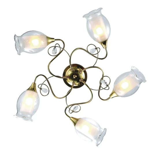 Фото Потолочная люстра Arte Lamp MUGHETTO A9289PL-5GO