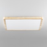 Фото 3 CL738K502V Бейсик Клен Св-к Накл. LED 50W*Мульти