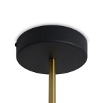 Фото 5 Подвесной светильник Freya FR6173PL-L18B