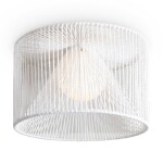 Фото 1 Потолочный светильник Freya FR5405CL-01W1