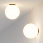 Фото 1 Потолочный светильник Maytoni MOD427CL-L10B3K