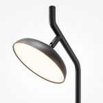 Фото 2 Настольный светильник Maytoni MOD451TL-L8B3K1