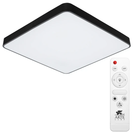 Фото Потолочный светильник Arte Lamp SCENA A2669PL-1BK