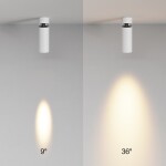 Фото 1 Потолочный светильник Technical C055CL-L12W2.7K-SS-W