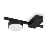 Фото 5 Потолочный светильник Freya FR5363CL-01B