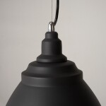 Фото 2 Подвесной светильник Maytoni P534PL-01B