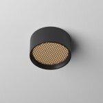 Фото 2 Потолочный светильник Technical C122CL-L7-3K-B