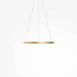 Фото 1 Подвесной светильник Maytoni MOD058PL-L32BSK