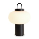 Фото 4 Настольный светильник Freya FR6175TL-L10B