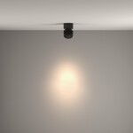 Фото 1 Потолочный светильник Technical C084CL-15W4K-B