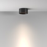 Фото 1 Потолочный светильник Technical C122CL-L7-3K-B