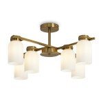 Фото 7 Подвесной светильник Freya FR5446PL-06BS