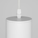 Фото 1 Подвесной светильник Technical P075PL-01W