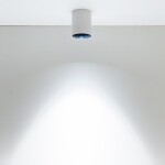 Фото 1 CL7440101 Старк Белый+Черный Св-к Потол. 12W*3500K