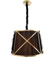 Фото Подвесной светильник Arte Lamp VITRUVIO A2805SP-1BK