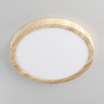 Фото 5 CL738182V Бейсик Клен Св-к Накл. LED 18W*Мульти