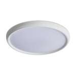 Фото 3 Потолочный светильник Freya FR6211CL-L24W