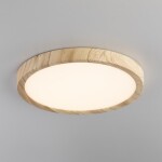 Фото 1 CL738182V Бейсик Клен Св-к Накл. LED 18W*Мульти