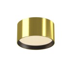 Фото 5 Потолочный светильник Technical C091CL-12W3K-BS