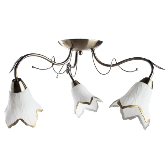 Фото Потолочная люстра Arte Lamp BARBARA A6066PL-3AB