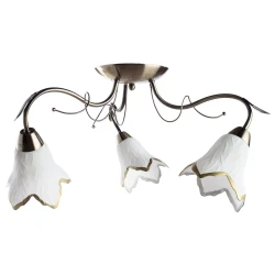 Фото Потолочная люстра Arte Lamp BARBARA A6066PL-3AB