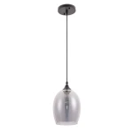 Фото Подвесной светильник Arte Lamp PROPUS A4344SP-1BK