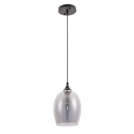 Фото Подвесной светильник Arte Lamp PROPUS A4344SP-1BK