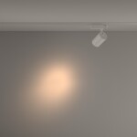 Фото 1 Трековый светильник Technical TR029-3-20W3K-S-W