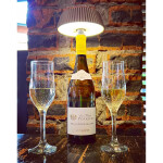 Фото 25 7931 Переносной уличный светильник-пробка RELAX