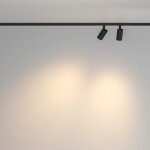 Фото 1 Трековый светильник Technical TR176-1-2X5WTW-M-B