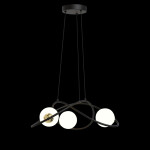 Фото 3 Люстра P0691-3A black