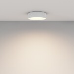 Фото 1 Потолочный светильник Technical C032CL-24W3K-RD-W