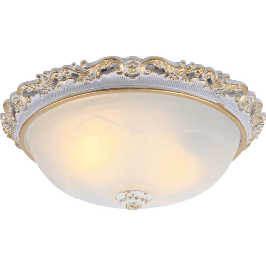 Фото Потолочный светильник Arte Lamp TORTA A7152PL-2WG