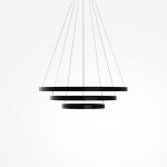 Фото 1 Подвесной светильник Maytoni MOD058PL-L100BK