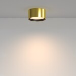 Фото 1 Потолочный светильник Technical C091CL-12W3K-BS